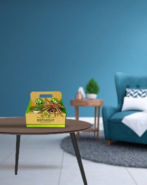 giftpack4-frontview_bg