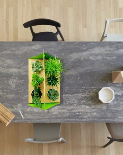 Gift Pack of 6 Plants5_Background