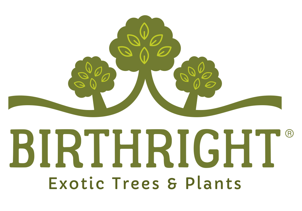 Birthright For All-