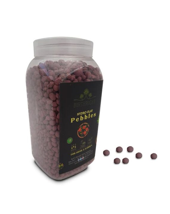 Pink Clay Pebbles - Birthright