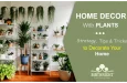 Home Decor With Plants